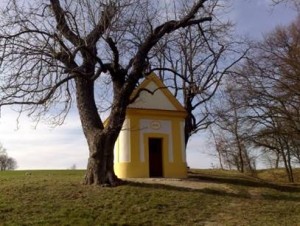 obnovená kaple 14 pomocníků Dobřany kaple-14-pomocniku-dobrany.jpg