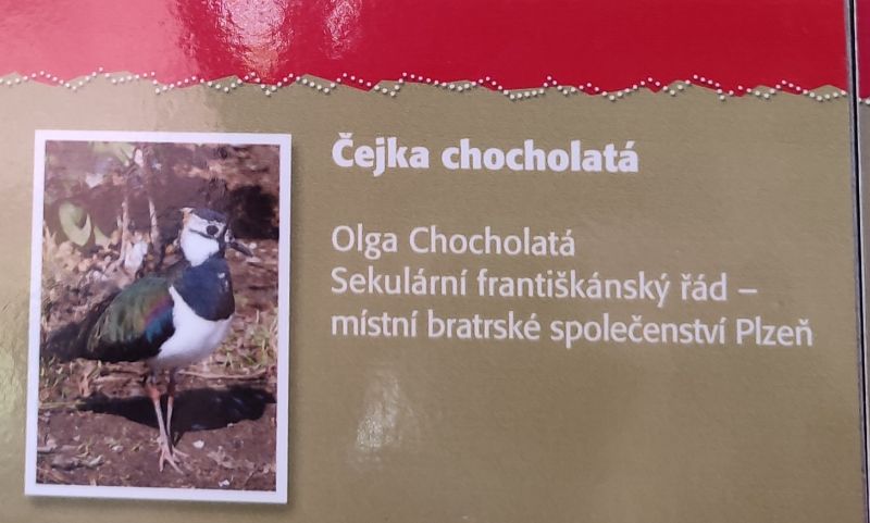 cedulka na nástěnce kmotrů